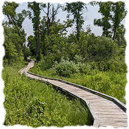 Hiking The Ice Age Trail